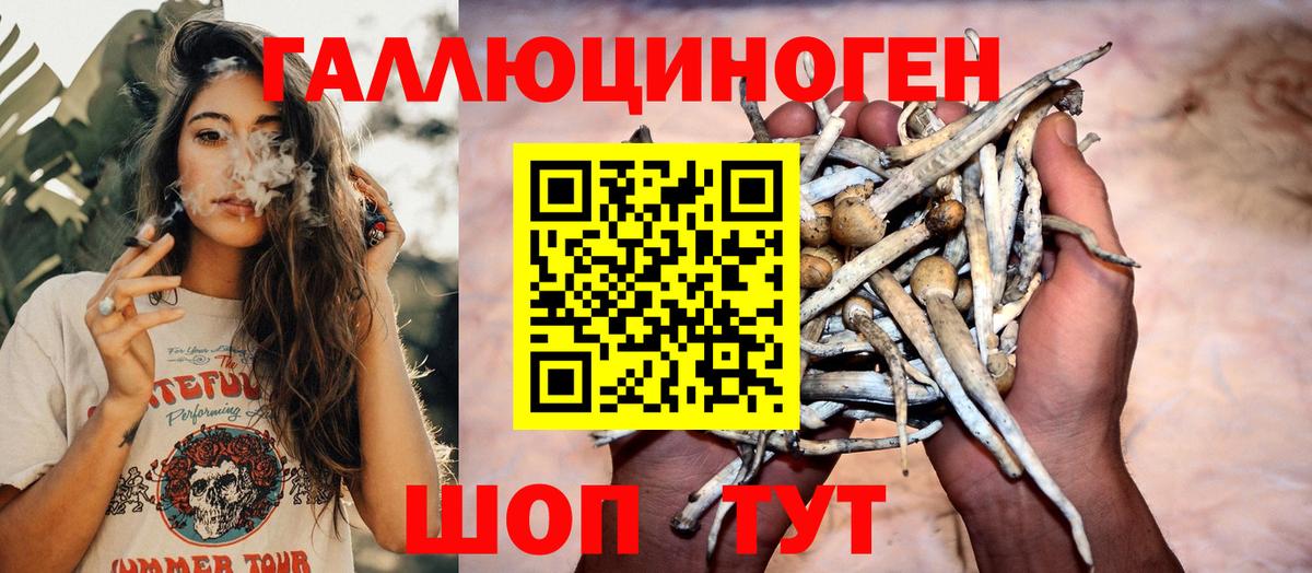 цены наркотик  Галлюциногенные грибы GOLDEN TEACHER  Вход с VPN  Казань 