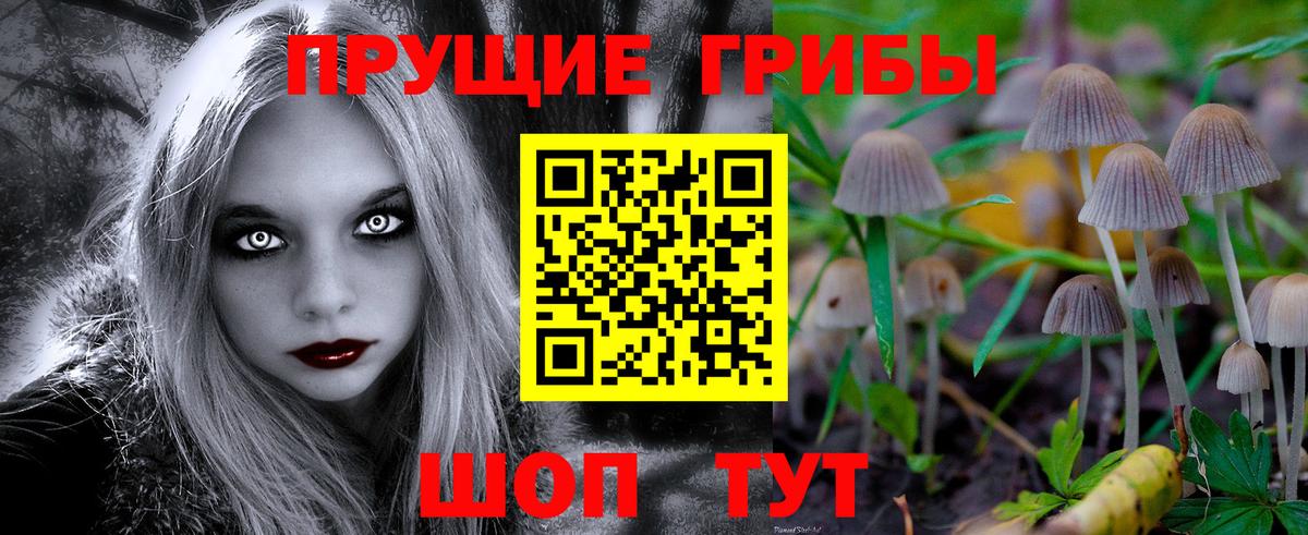 Псилоцибиновые грибы Psilocybine cubensis Казань